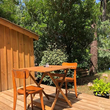 Affittacamere Cap-ferret-piscine Chauffée-villa Sylhengui 3*