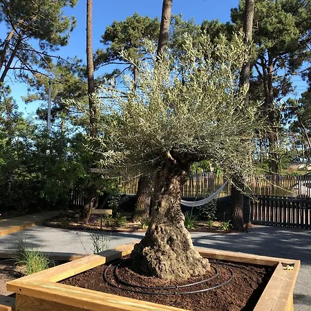 Cap-ferret-piscine Chauffee-villa Sylhengui Vendégház 3*