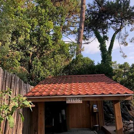 Affittacamere Cap-ferret-piscine Chauffée-villa Sylhengui 3*