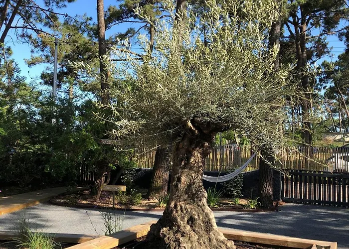 Privative, Cap Ferret - Sylhengui Pensionat 3*