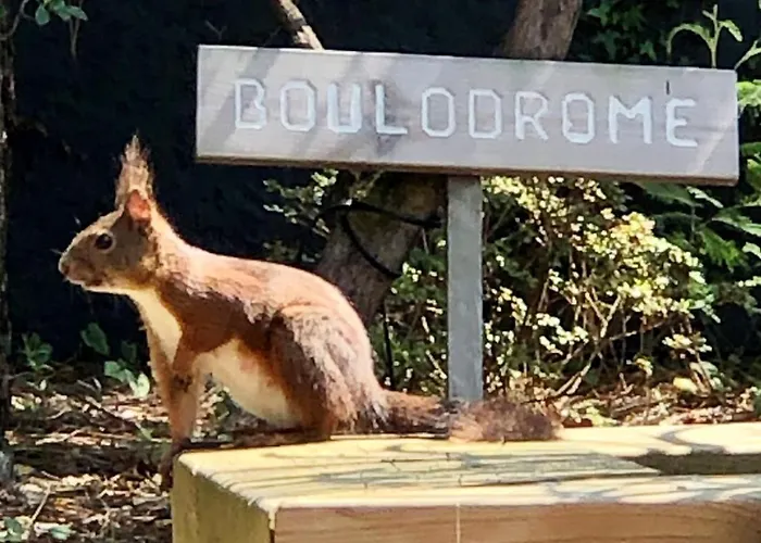 Gæstehus Privative, Cap Ferret - Sylhengui 3*